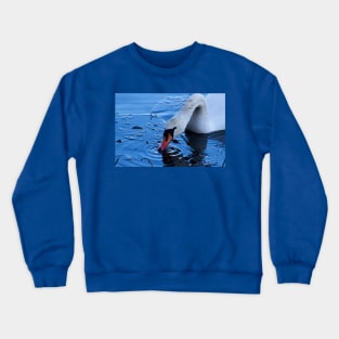 Mute Swan in ice Crewneck Sweatshirt